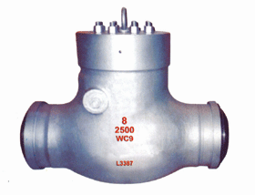 Swing check valve for power station